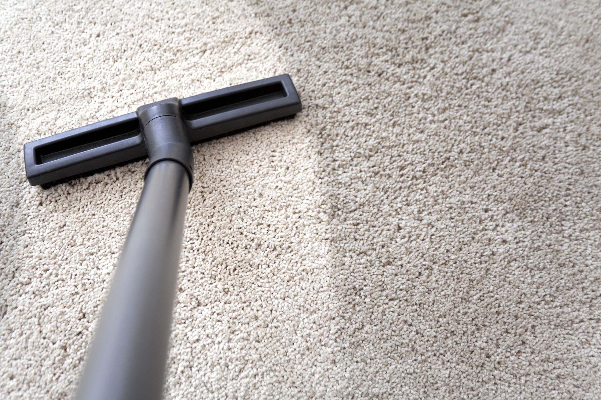 Fluffy white carpet cleaning